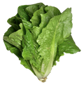 Cos lettuce (Each)