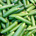 Cucumber Box (10kg)