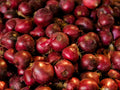Red Onion Bag (10kg)
